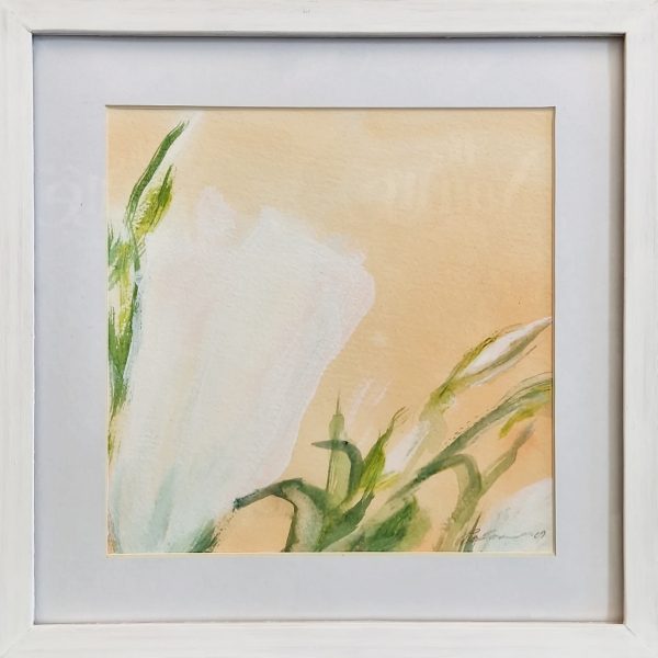 Eustoma I