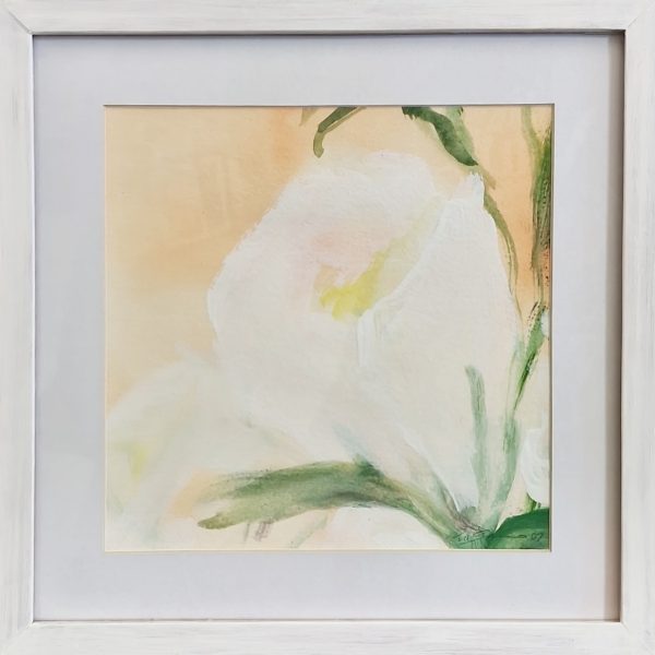 Eustoma III