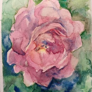 Rosa