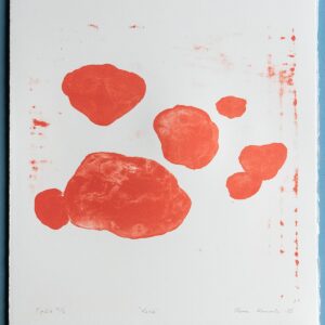Kiviä 5/5