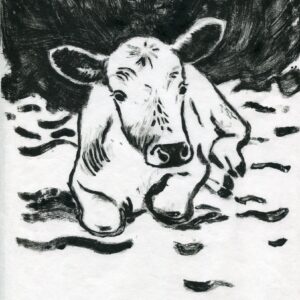 Mystikki t.p.l`a 1/1