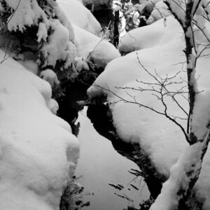 Kevätpäiväkirjasta (Laukaa)