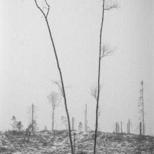 Kevätpäiväkirjasta (Mäntyharju)