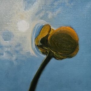 Eclipse II