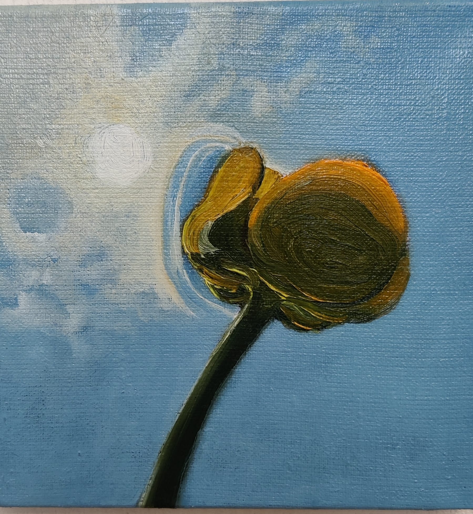 Eclipse II
