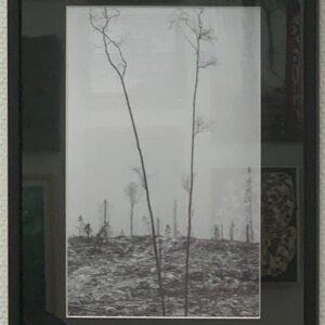 Kevätpäiväkirjasta (Mäntyharju) 2