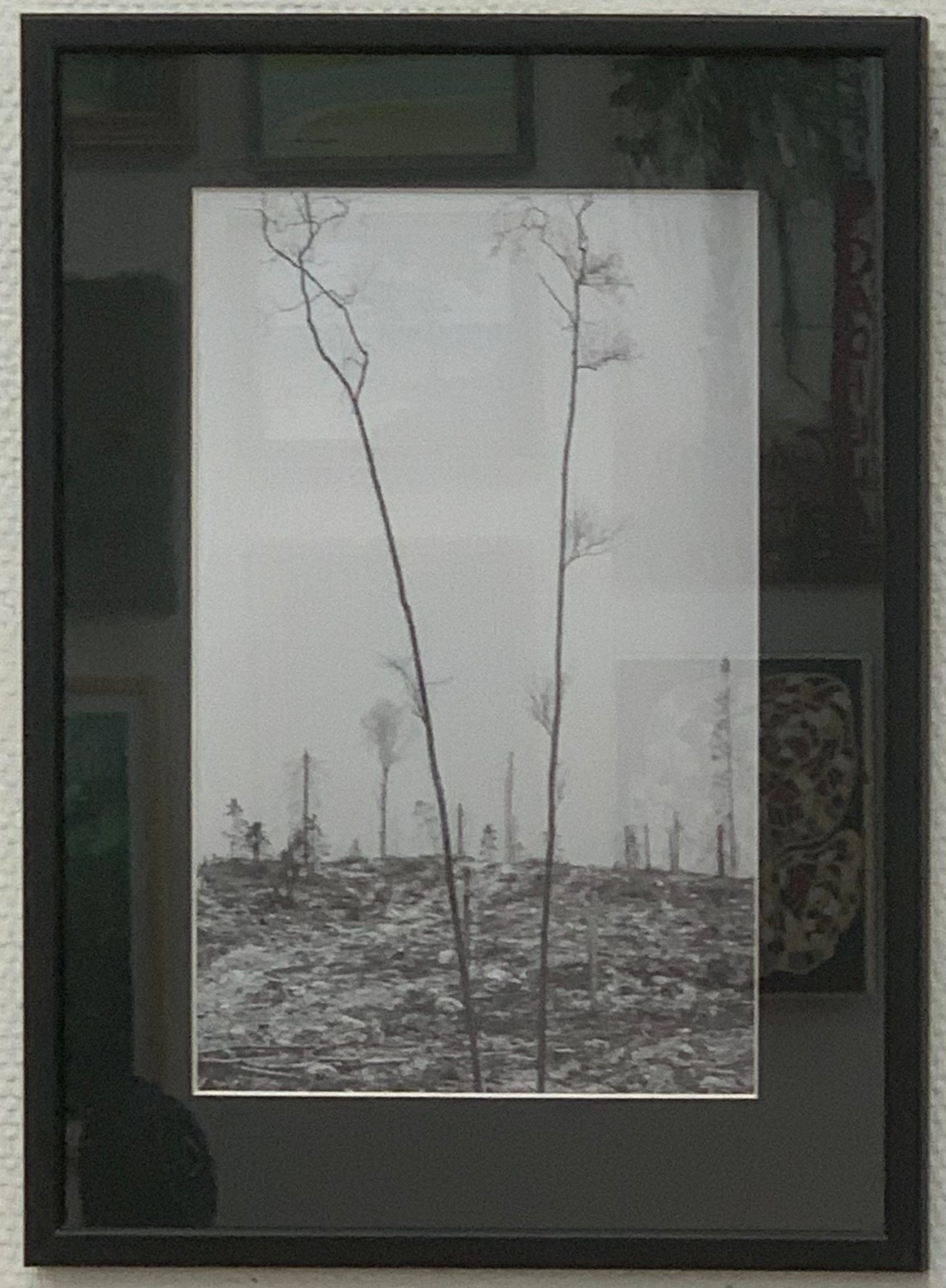 Kevätpäiväkirjasta (Mäntyharju) 2