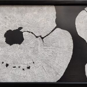 Broken I