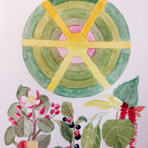 Harvinaisten puiden mandala