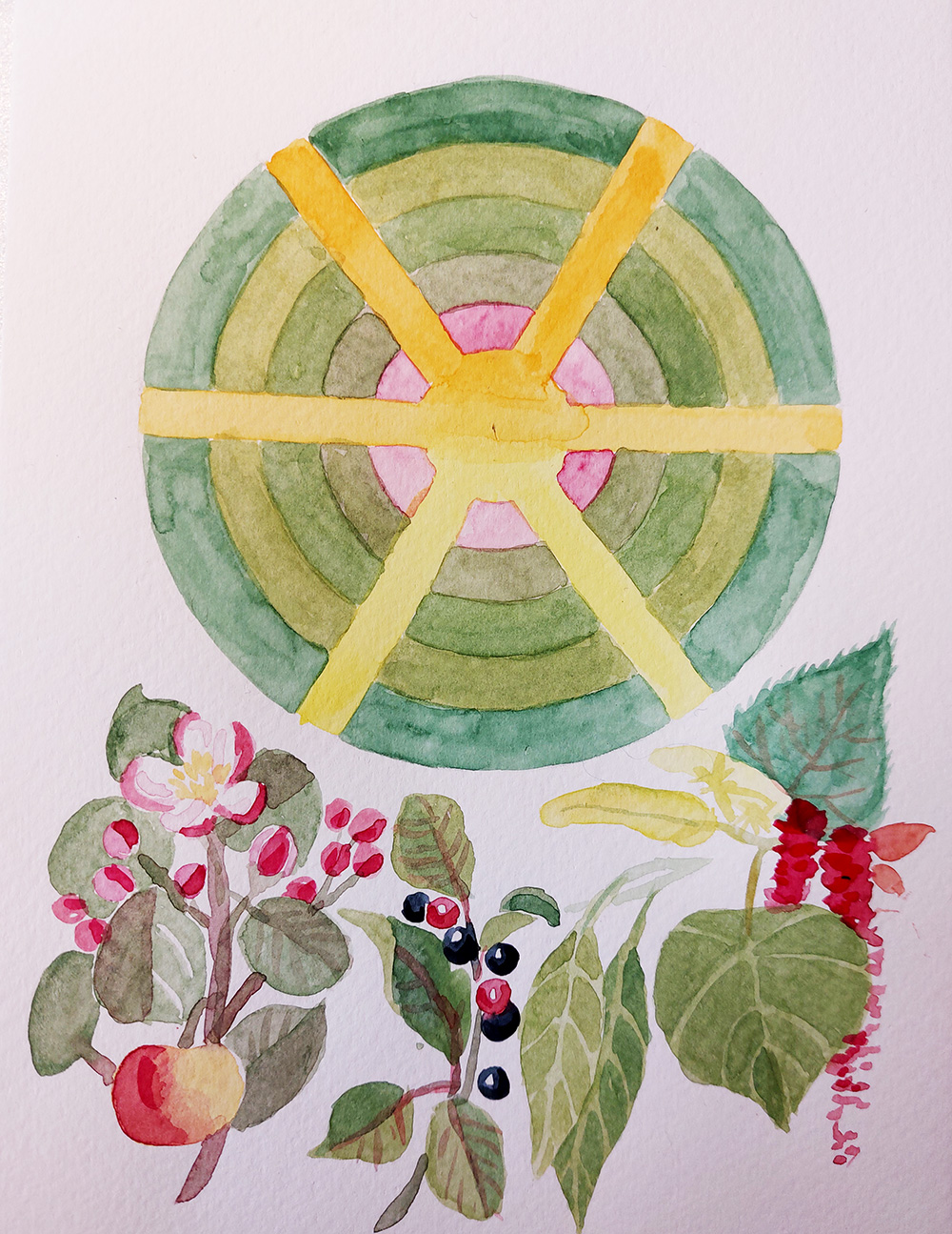 Harvinaisten puiden mandala