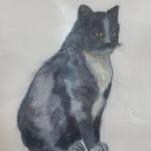 Kissa- akvarelli (5)