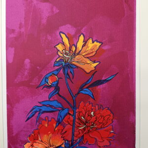 Pionit: magenta 1/5 (édition variée)
