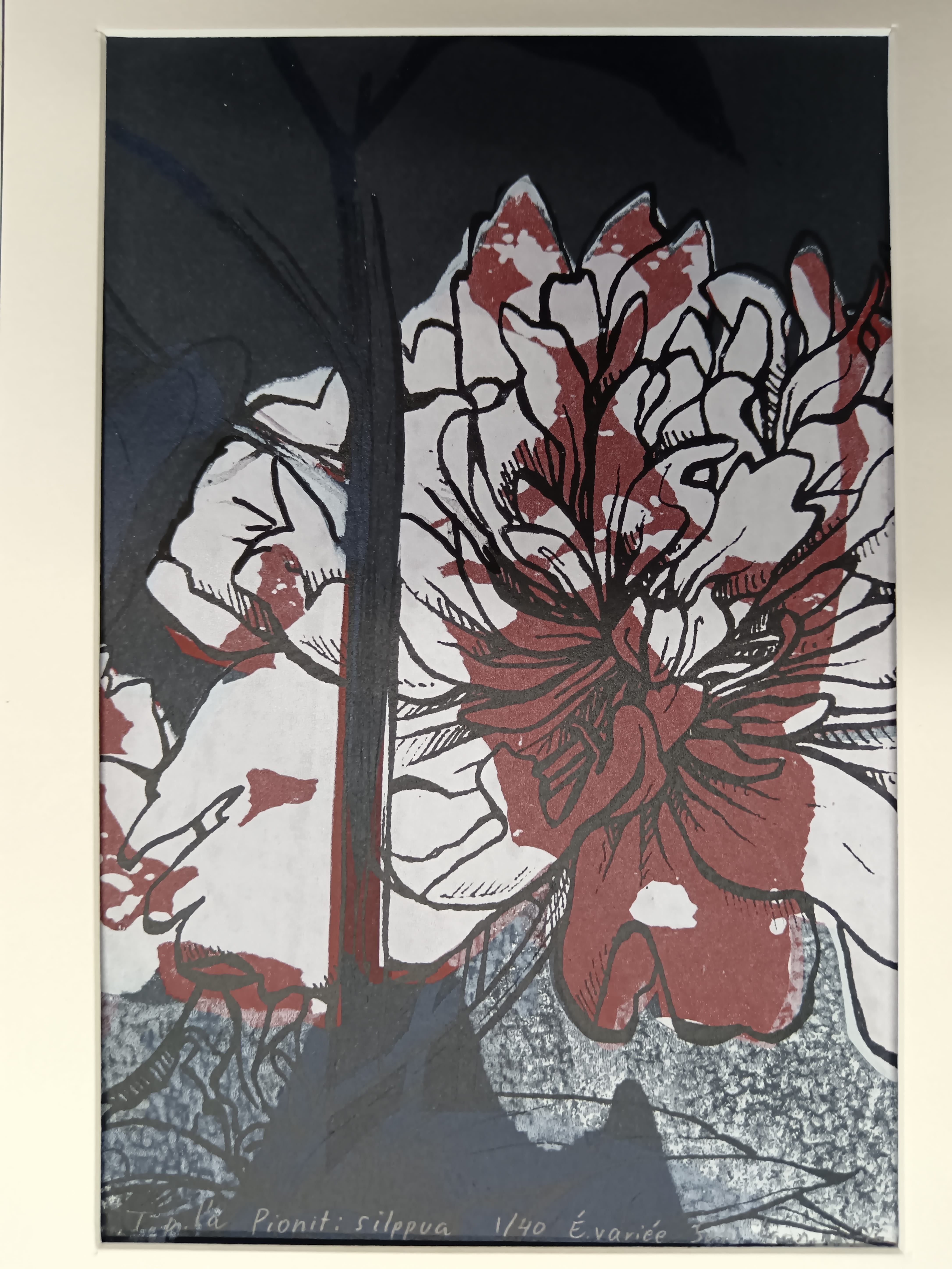 Pionit: silppua 1/40 (édition variée)