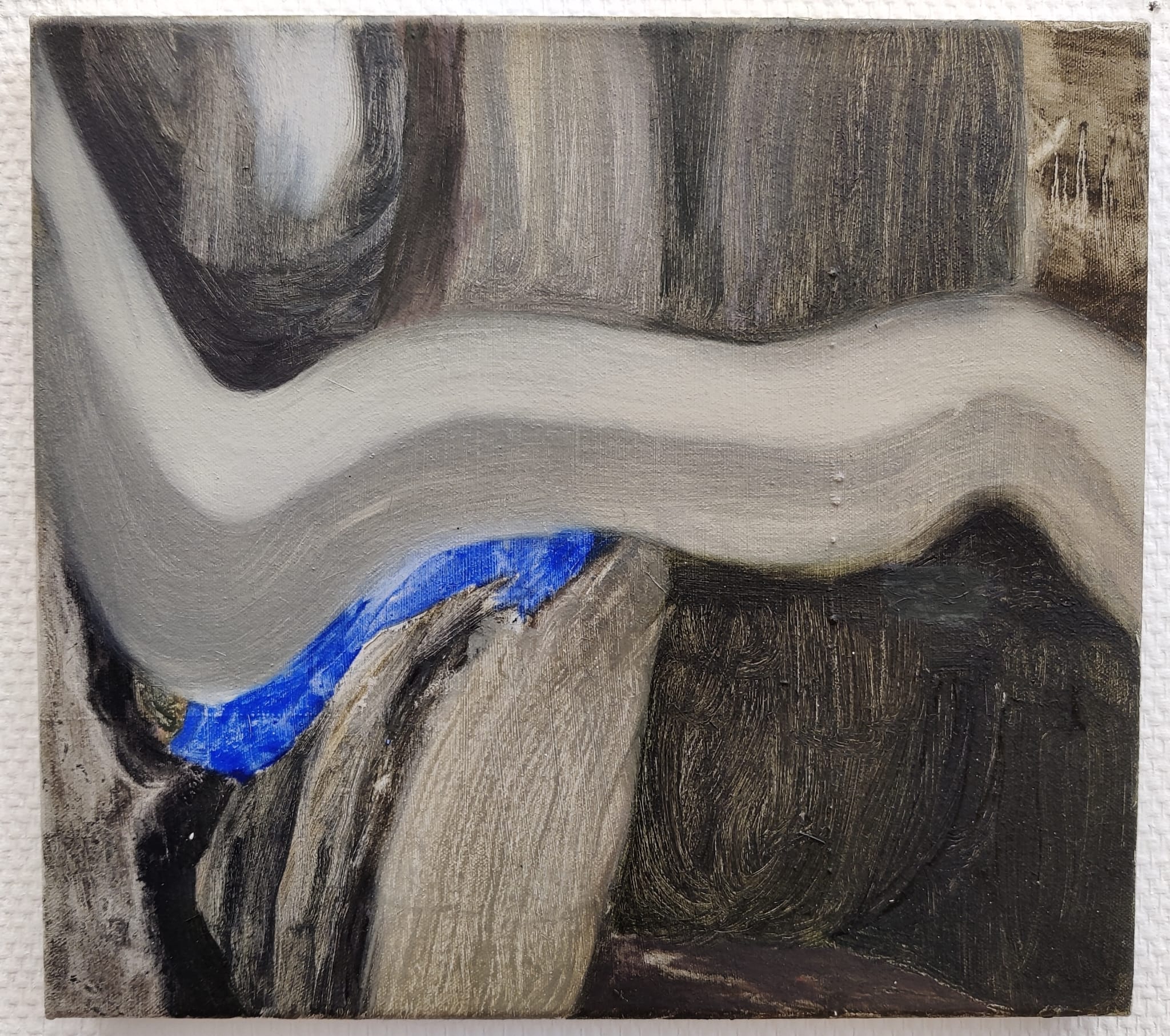 Forest study