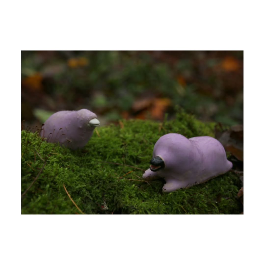 Pienen eläimen hankala taival - Image 2