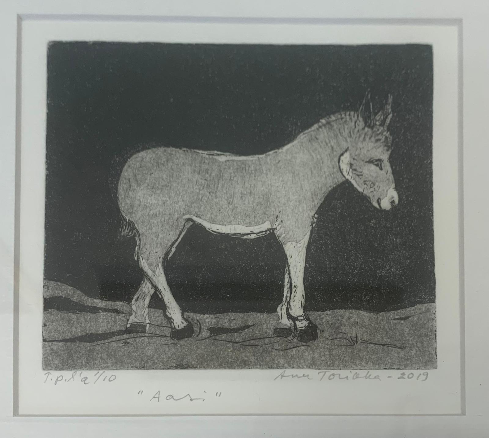 Aasi 1/10 - Image 2